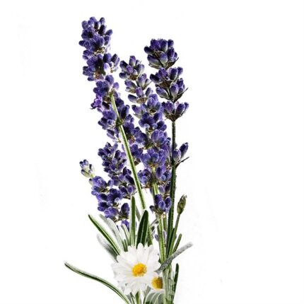 Planet Spa Aromatherapy Beauty Sleep kézkrém
